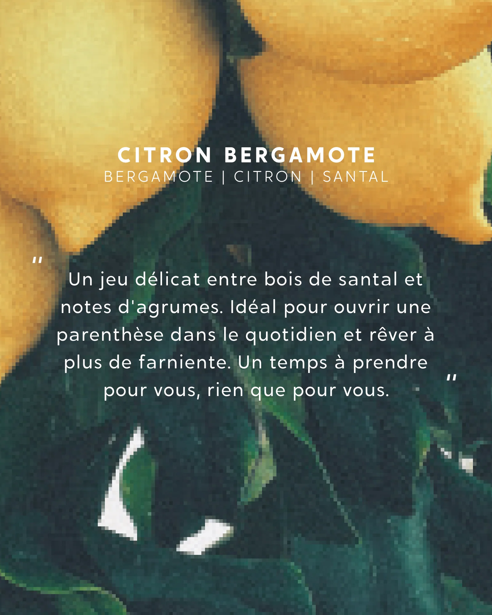 Bâtonnets parfumés Citron Bergamote - Image 4