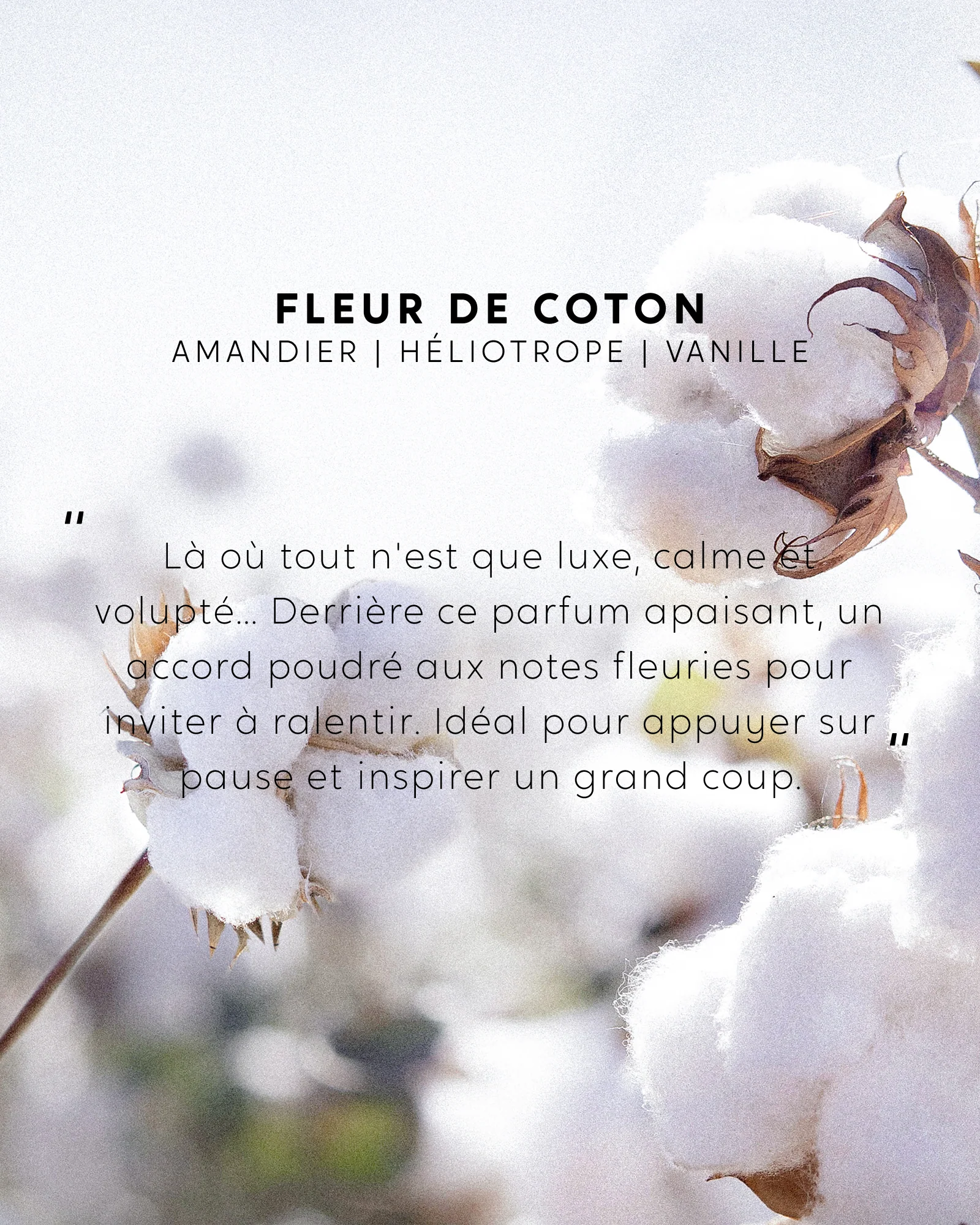 Bâtonnets parfumés Fleur de Coton - Image 4