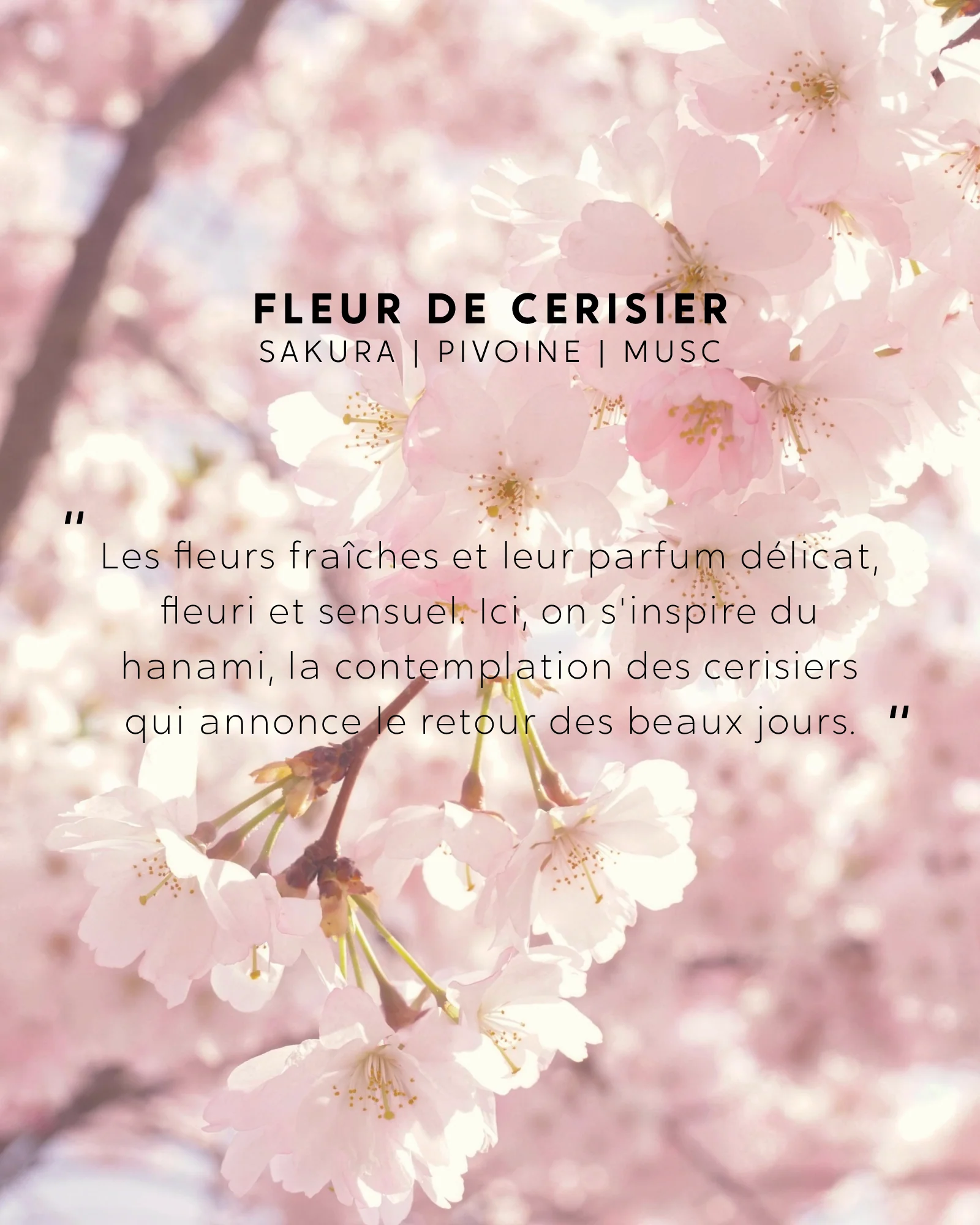 Bougie bijou Fleur de Cerisier - Image 7