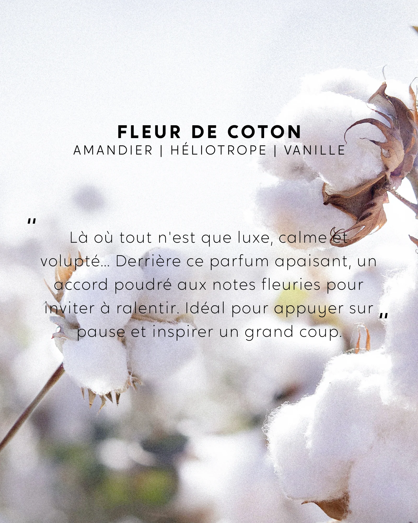 Bougie bijou surprise Fleur de Coton - Image 7