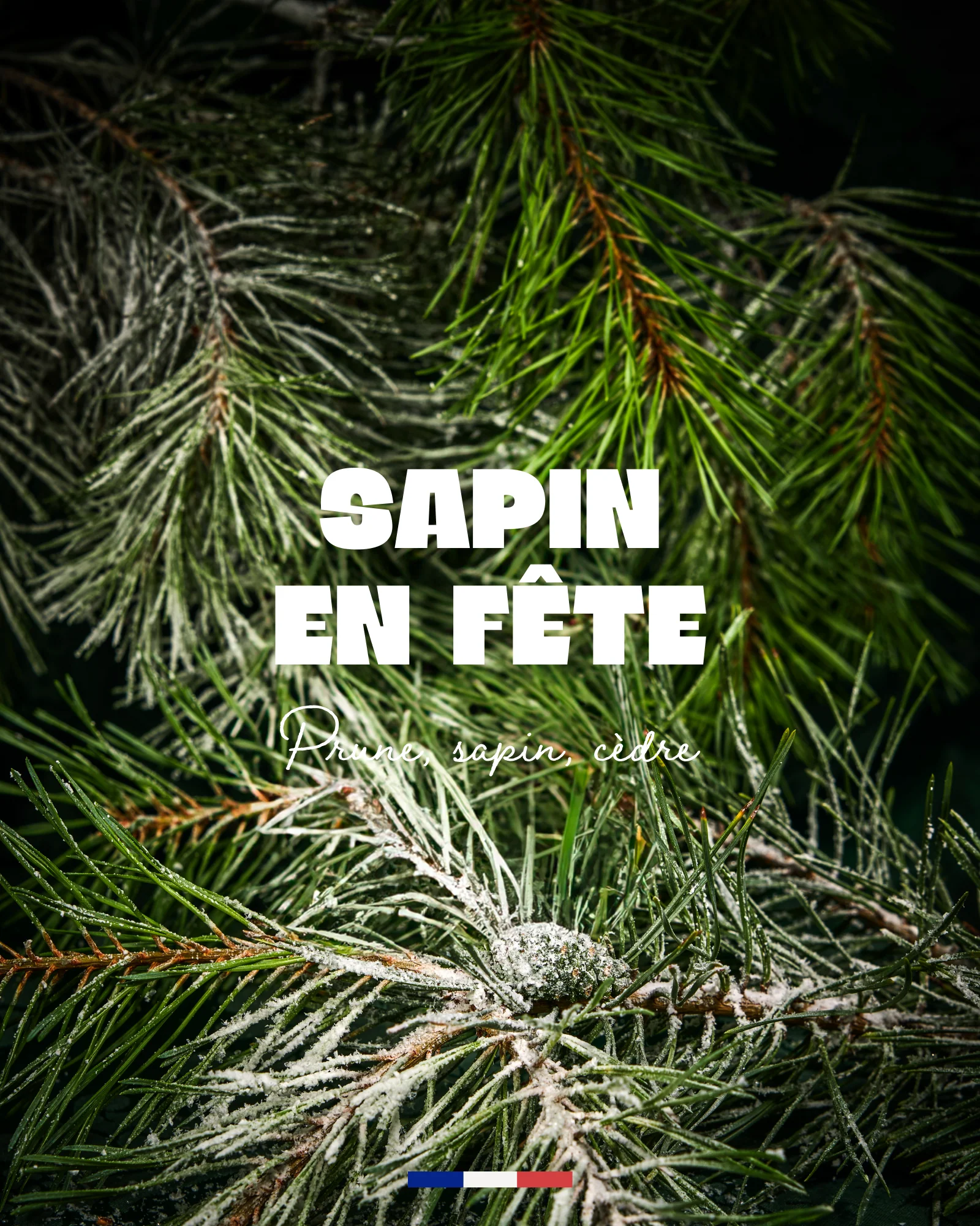 Bougie Sapin en Fête - Image 4