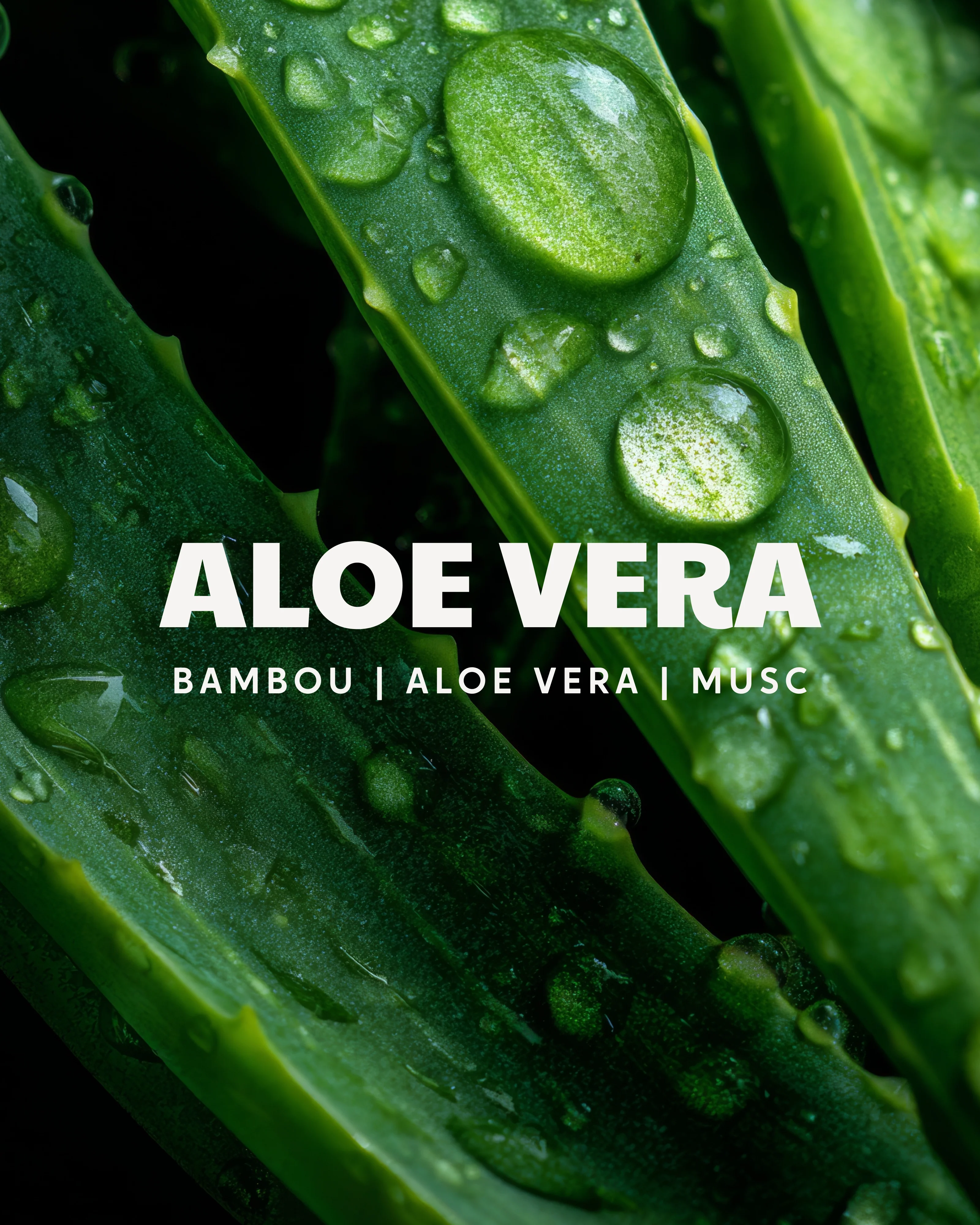 Bougie parfumée Aloe Vera - Image 4