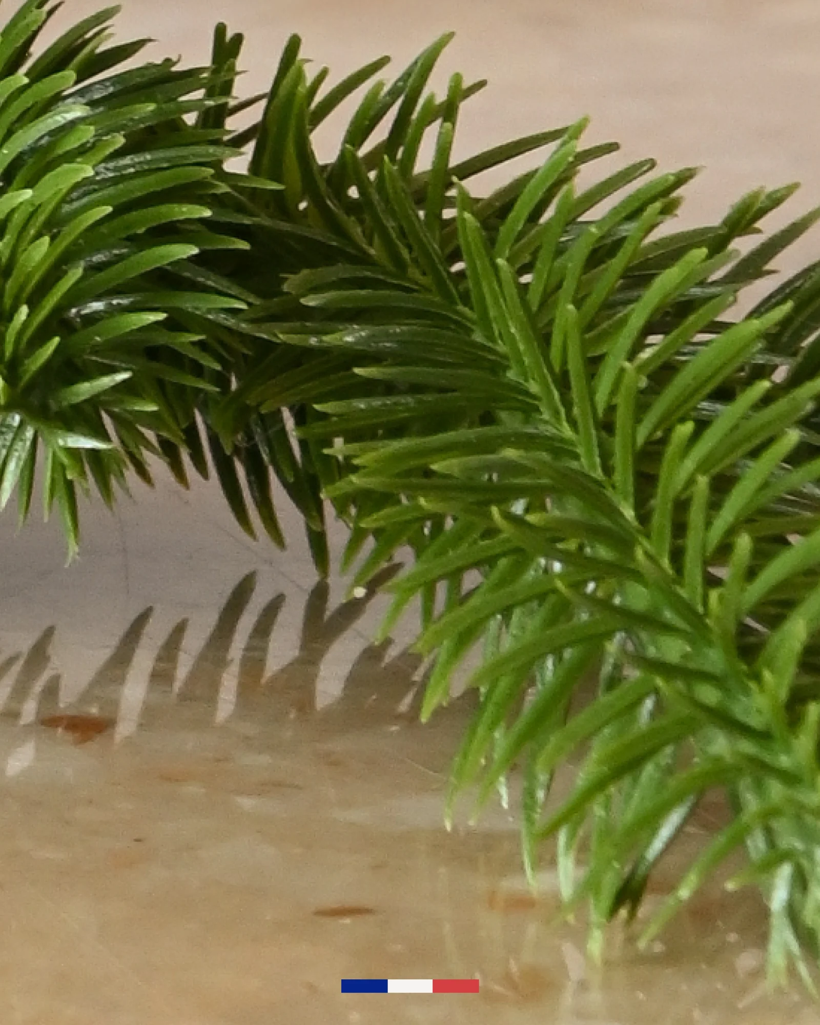 Bougie Sapin Givré - Image 5