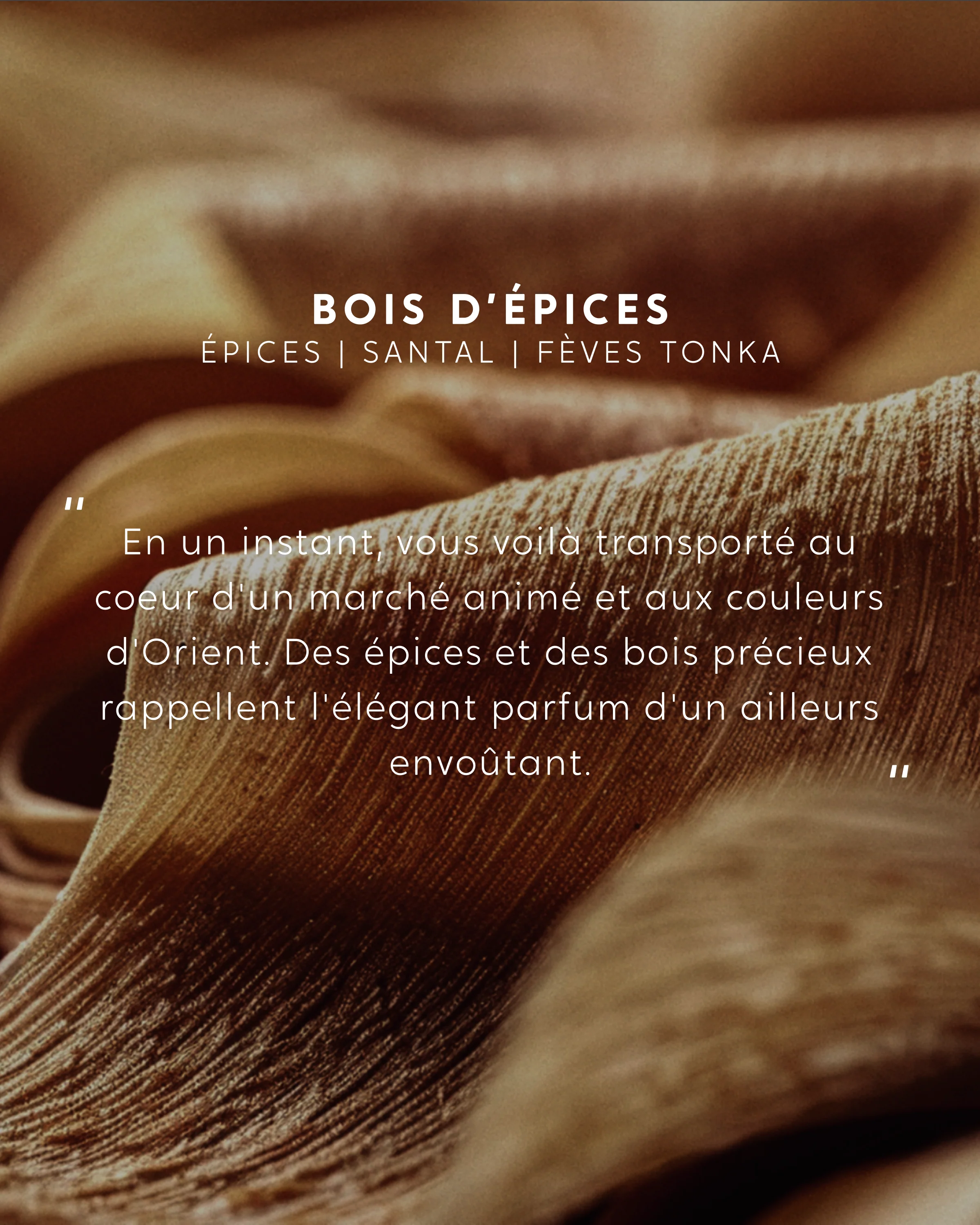 Bouquet parfumé Bois d'épices - Image 4