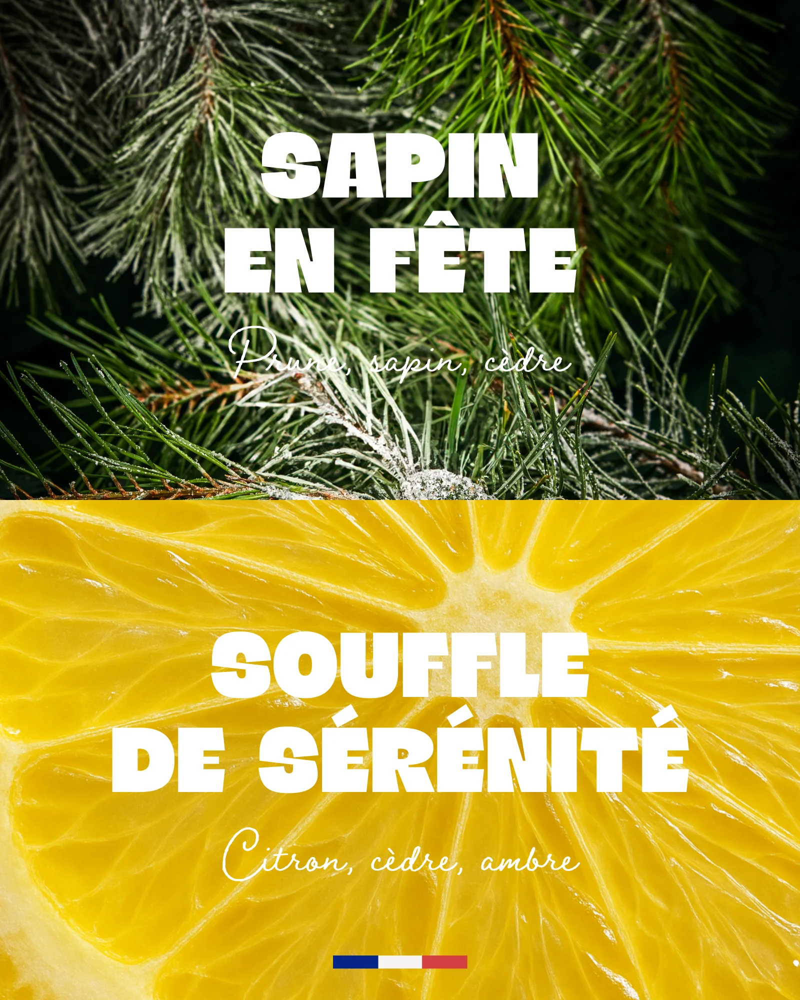Le Cracker Surprise - Image 6