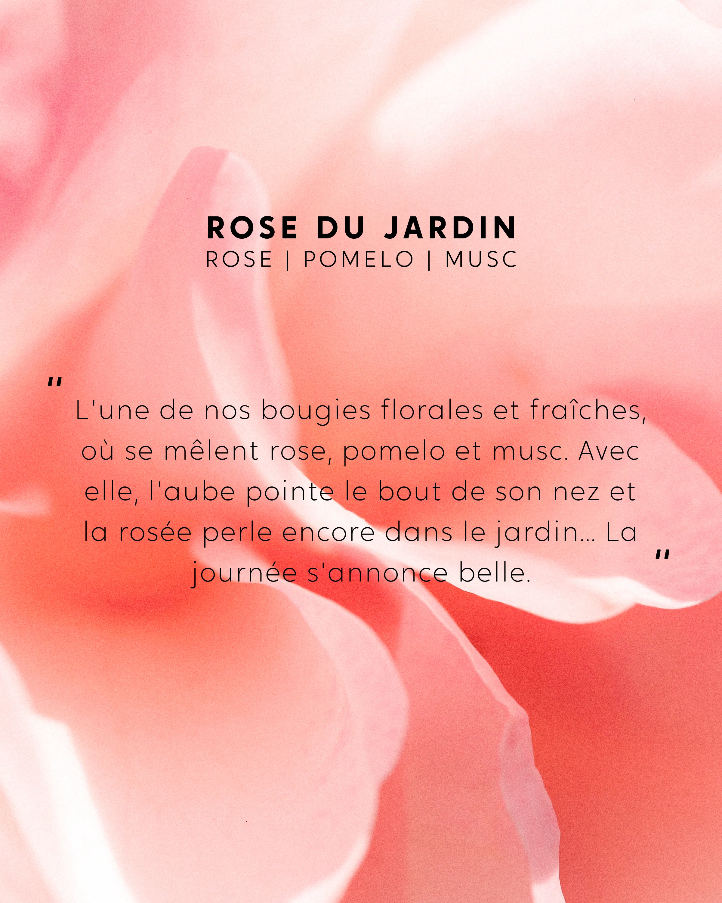 Grande bougie Rose du Jardin - Image 4