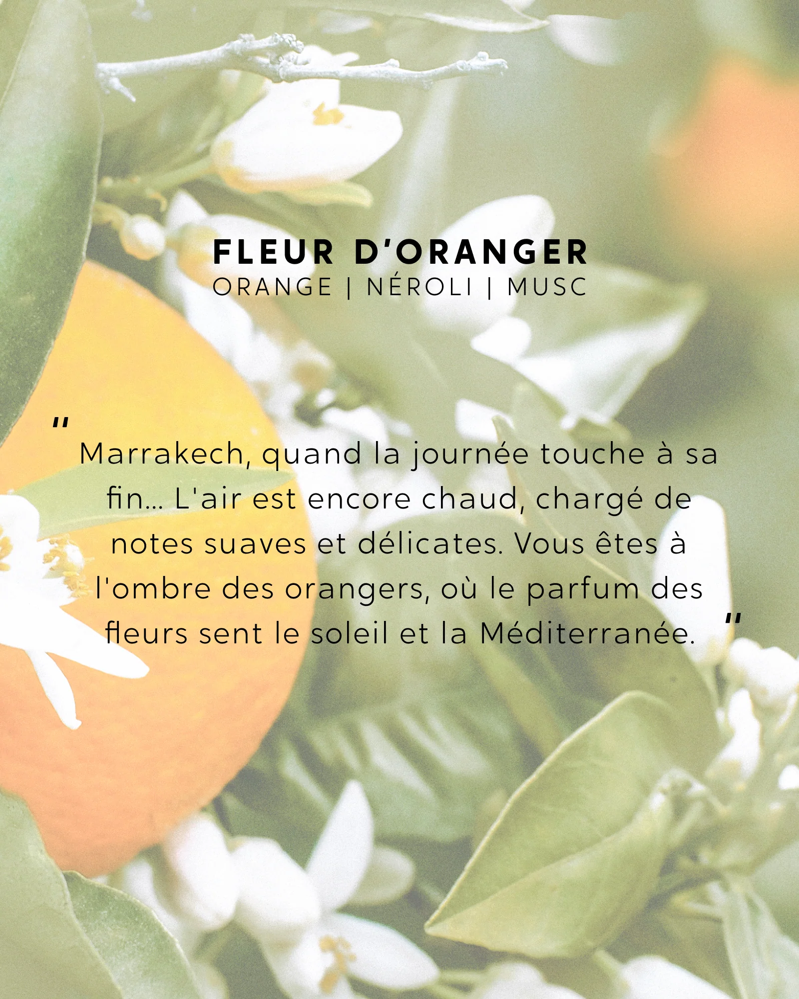 Petite bougie Fleur d'Oranger - Image 4