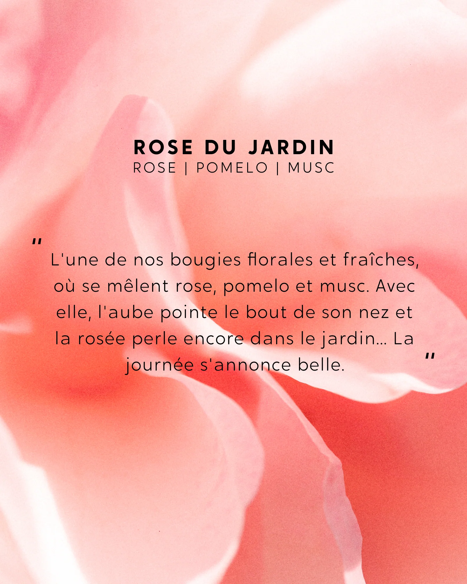 Petite bougie Rose du Jardin - Image 4