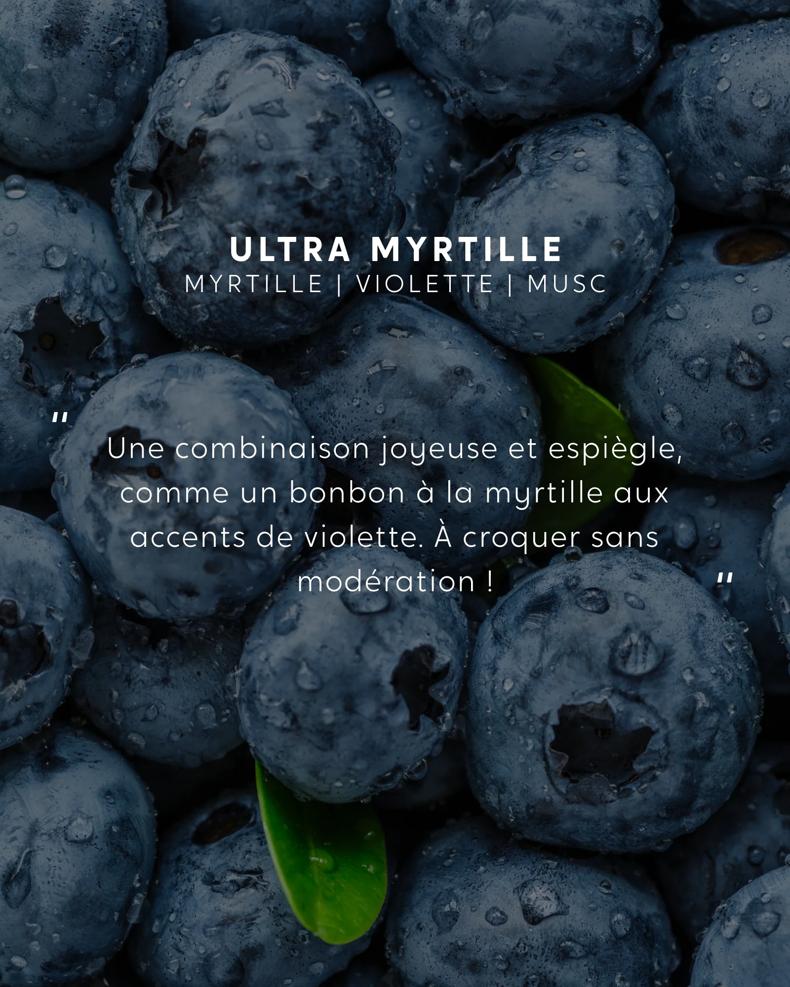 Petite bougie Ultra Myrtille - Image 4