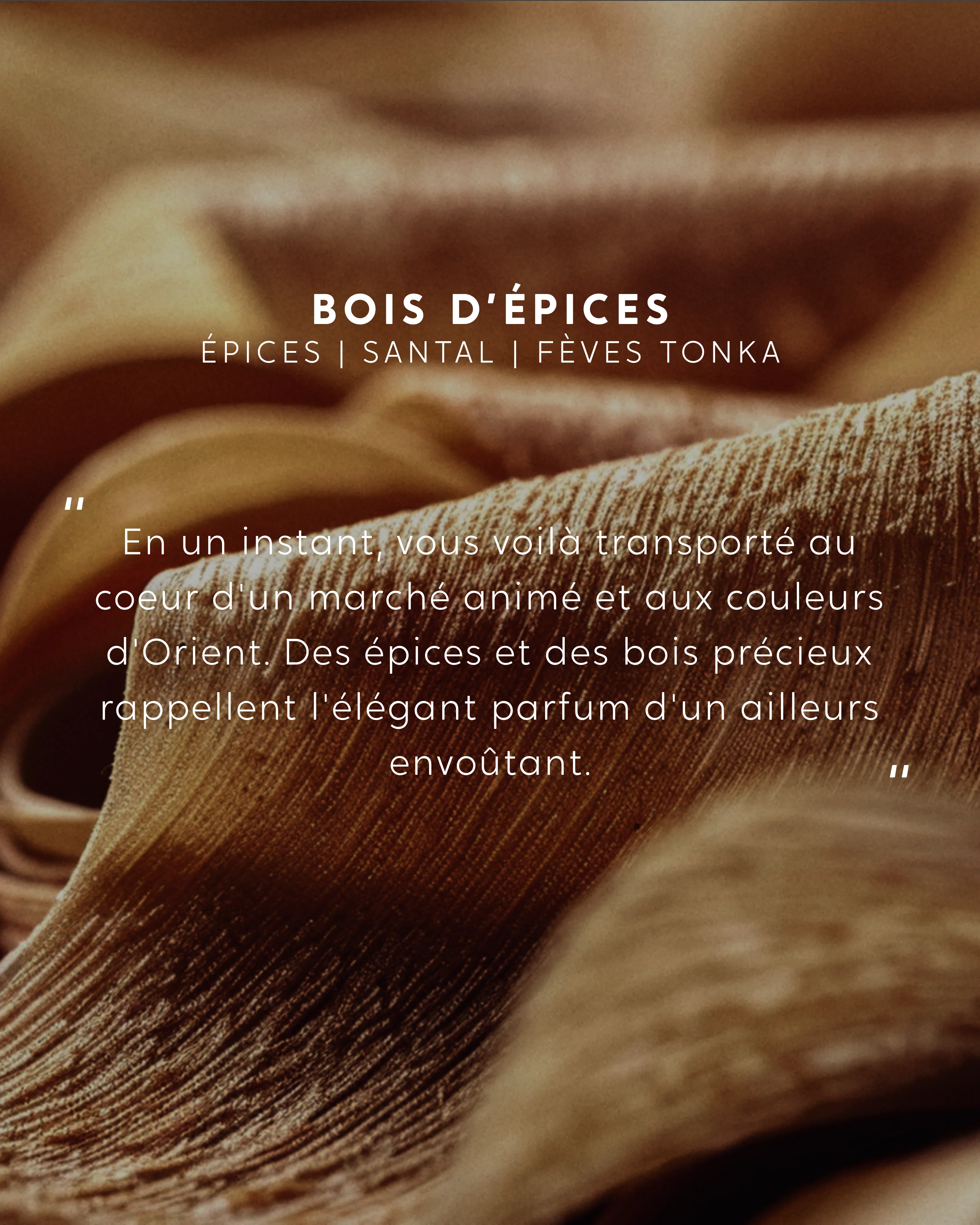 Recharge bouquet Bois d'épices - Image 3