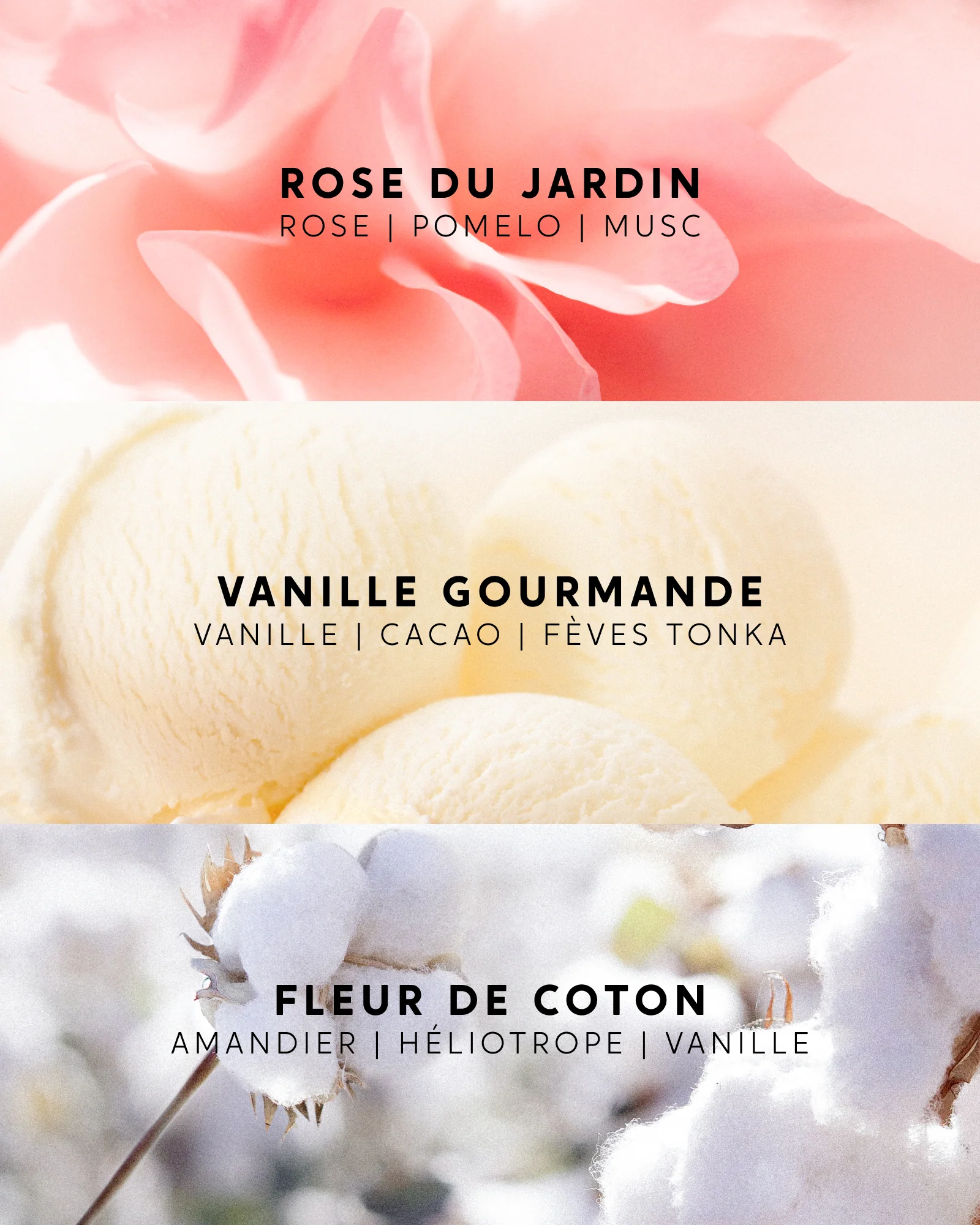 Trio bestsellers recharges pour bouquet - Image 3
